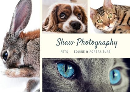 How to Start a Pet Photography Business by Kyle Richards